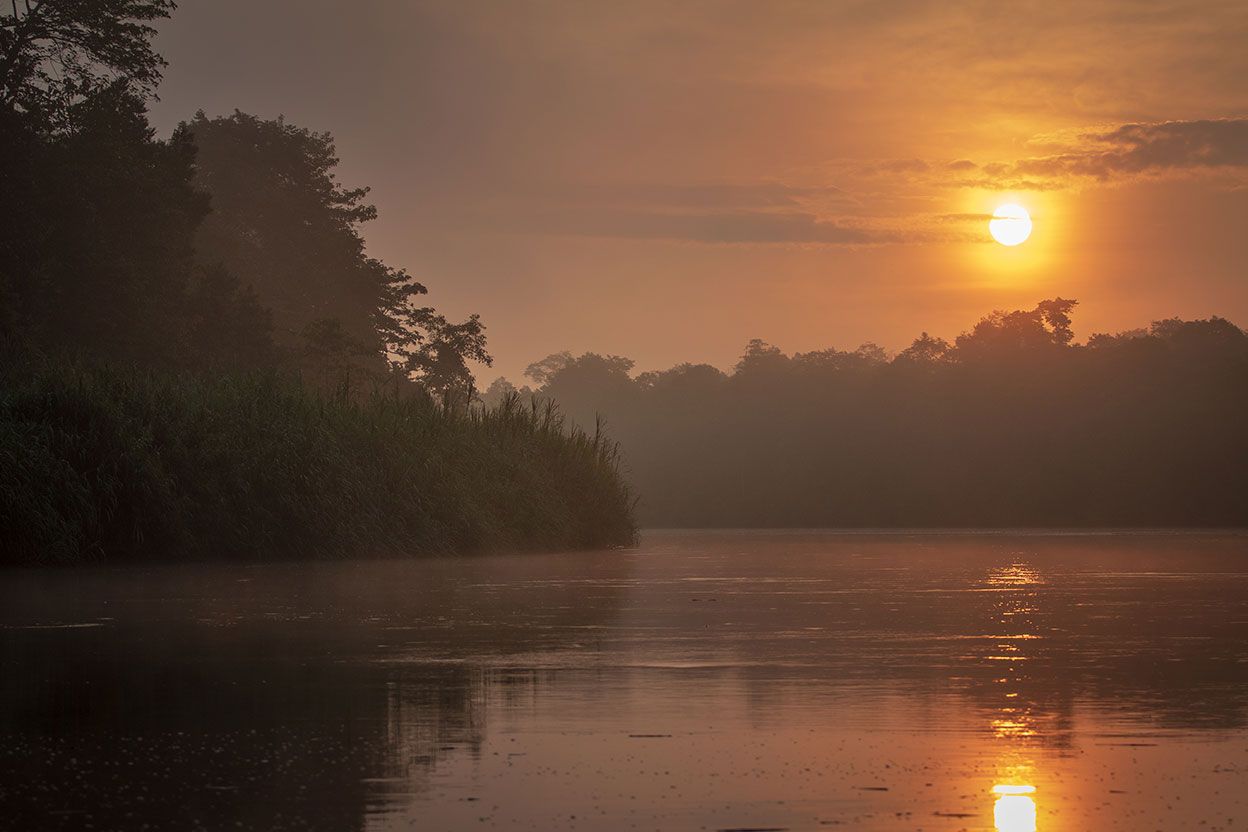 Sunrise over the Kinabatangan river in Borneo